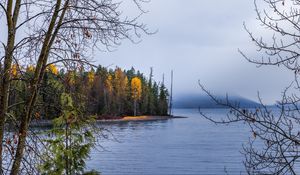 Preview wallpaper forest, landscape, autumn, trees, lake