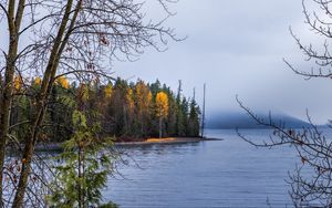 Preview wallpaper forest, landscape, autumn, trees, lake