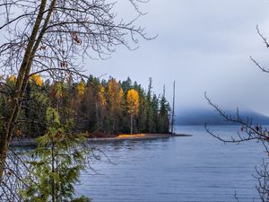 Preview wallpaper forest, landscape, autumn, trees, lake