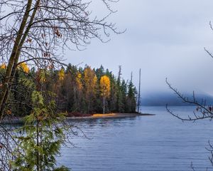 Preview wallpaper forest, landscape, autumn, trees, lake