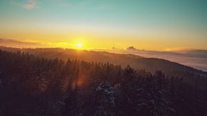 Preview wallpaper forest, landscape, dawn, nature, spruces