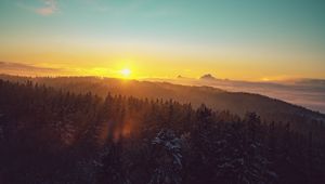 Preview wallpaper forest, landscape, dawn, nature, spruces