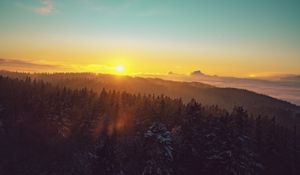 Preview wallpaper forest, landscape, dawn, nature, spruces