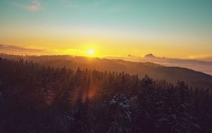 Preview wallpaper forest, landscape, dawn, nature, spruces