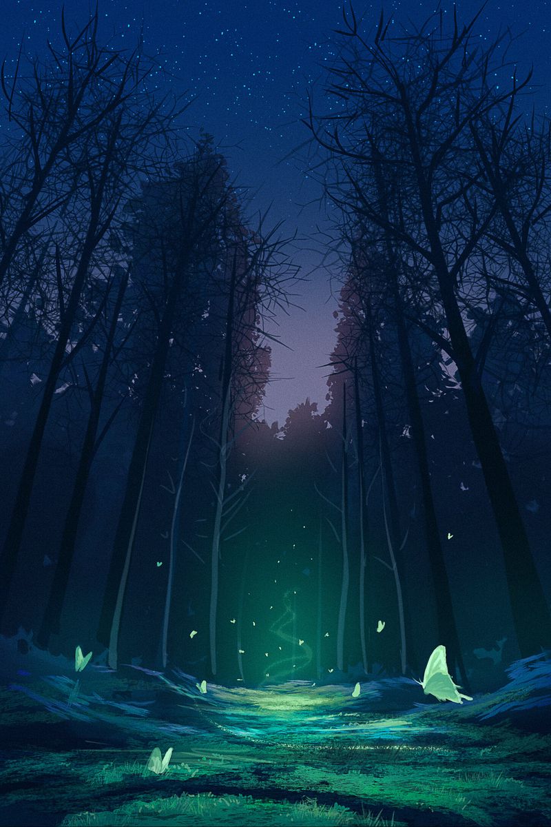 HD wallpaper Anime Original Bird Forest Moon Night Star star   space  Wallpaper Flare