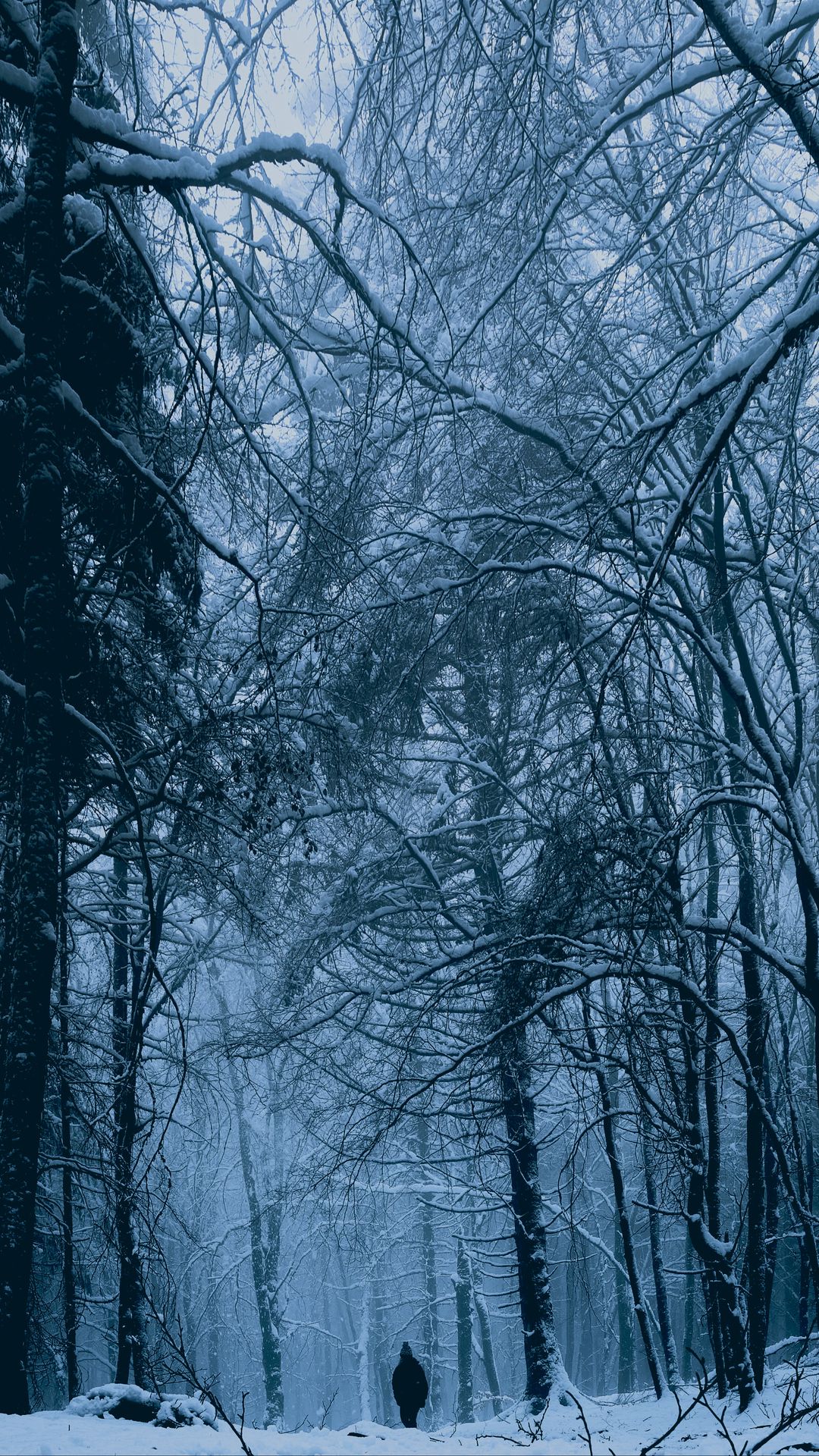 Download wallpaper 1080x1920 forest, man, alone, snow, winter samsung ...