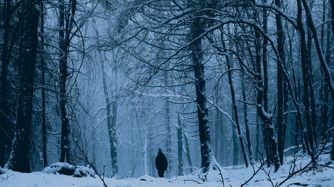Wallpaper forest, man, alone, snow, winter