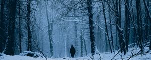 Preview wallpaper forest, man, alone, snow, winter