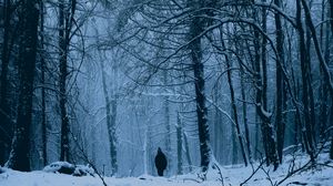 Preview wallpaper forest, man, alone, snow, winter
