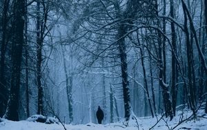 Preview wallpaper forest, man, alone, snow, winter