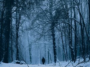 Preview wallpaper forest, man, alone, snow, winter