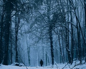 Preview wallpaper forest, man, alone, snow, winter