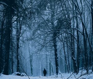 Preview wallpaper forest, man, alone, snow, winter