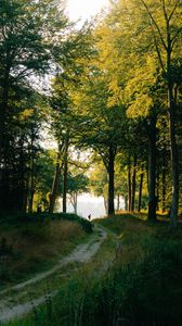 Preview wallpaper forest, man, path, trees, silhouette