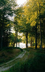 Preview wallpaper forest, man, path, trees, silhouette