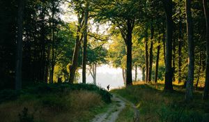 Preview wallpaper forest, man, path, trees, silhouette