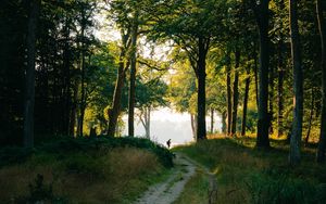 Preview wallpaper forest, man, path, trees, silhouette