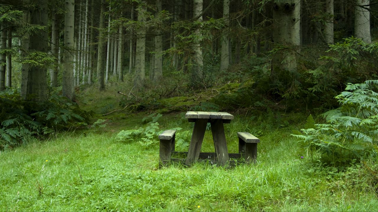 Wallpaper forest, meadow, benches, table, landscape