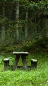 Preview wallpaper forest, meadow, benches, table, landscape