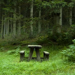 Preview wallpaper forest, meadow, benches, table, landscape