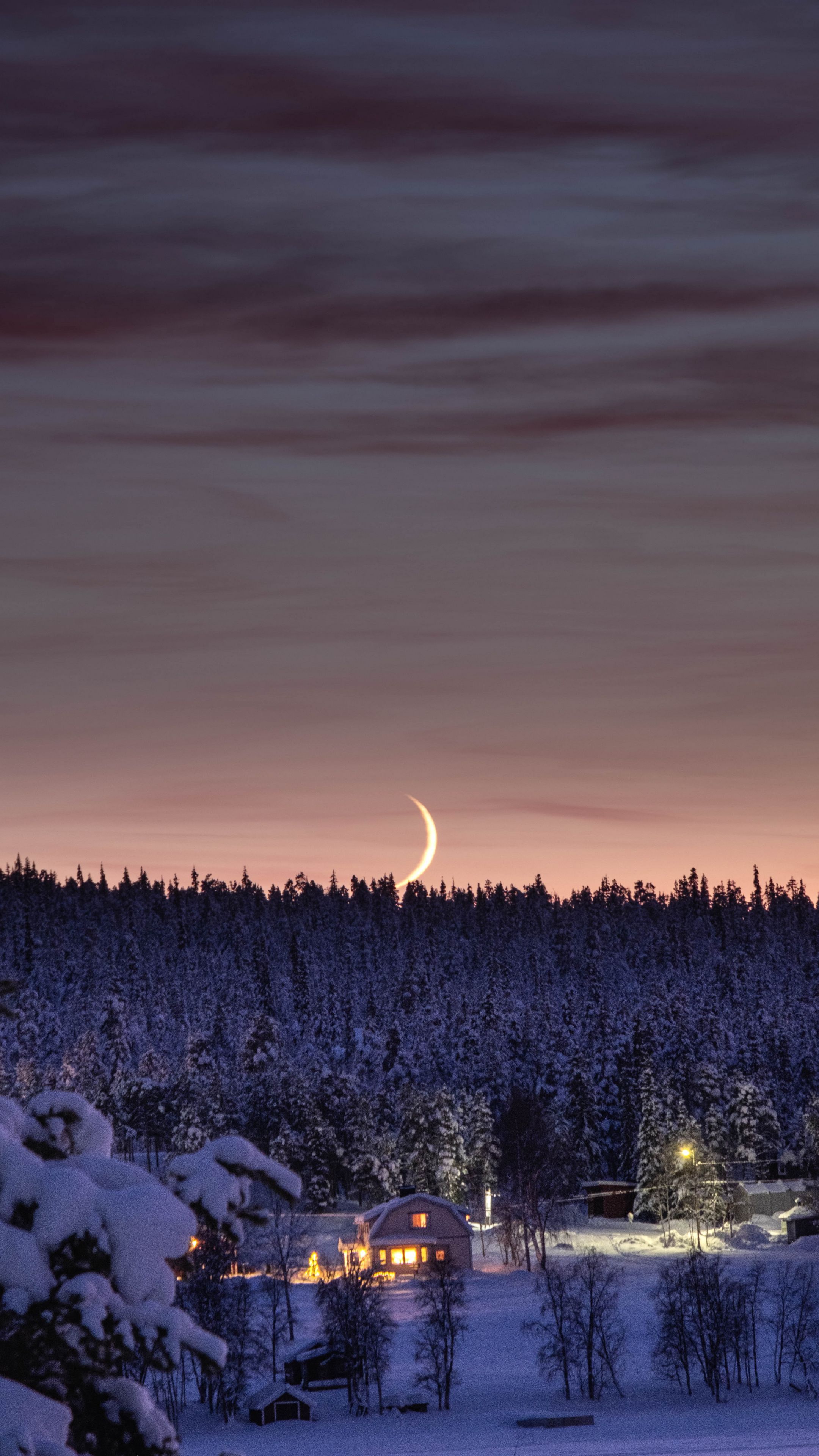 Download wallpaper 2160x3840 forest, moon, house, night, snow, winter