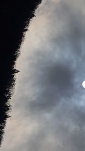 Preview wallpaper forest, moon, night, sky, nature
