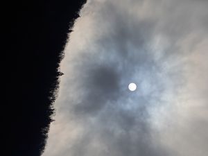 Preview wallpaper forest, moon, night, sky, nature