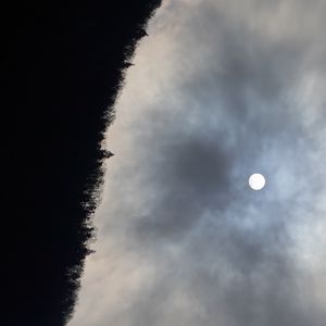 Preview wallpaper forest, moon, night, sky, nature