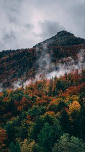 Preview wallpaper forest, mountain, peak, slope, clouds