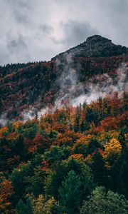 Preview wallpaper forest, mountain, peak, slope, clouds