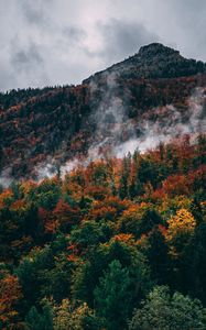 Preview wallpaper forest, mountain, peak, slope, clouds