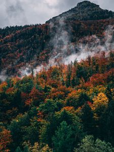 Preview wallpaper forest, mountain, peak, slope, clouds