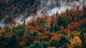 Preview wallpaper forest, mountain, peak, slope, clouds