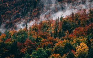 Preview wallpaper forest, mountain, peak, slope, clouds