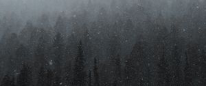 Preview wallpaper forest, mountain, snow, snowfall, winter