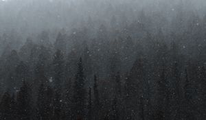 Preview wallpaper forest, mountain, snow, snowfall, winter