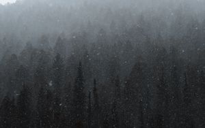 Preview wallpaper forest, mountain, snow, snowfall, winter