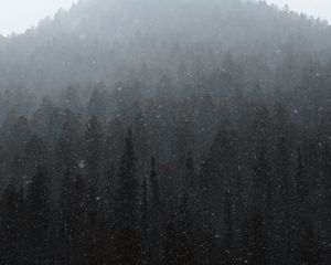 Preview wallpaper forest, mountain, snow, snowfall, winter