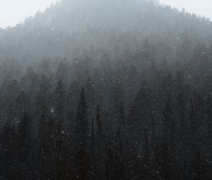 Preview wallpaper forest, mountain, snow, snowfall, winter