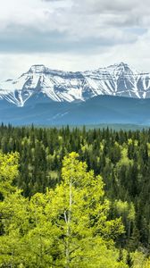 Preview wallpaper forest, mountains, clouds, nature