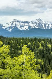 Preview wallpaper forest, mountains, clouds, nature