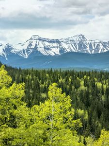 Preview wallpaper forest, mountains, clouds, nature