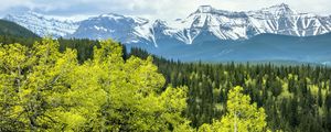 Preview wallpaper forest, mountains, clouds, nature