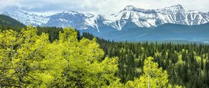 Preview wallpaper forest, mountains, clouds, nature