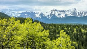 Preview wallpaper forest, mountains, clouds, nature