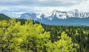 Preview wallpaper forest, mountains, clouds, nature