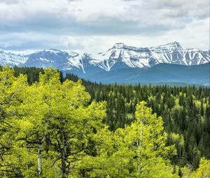 Preview wallpaper forest, mountains, clouds, nature