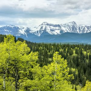 Preview wallpaper forest, mountains, clouds, nature