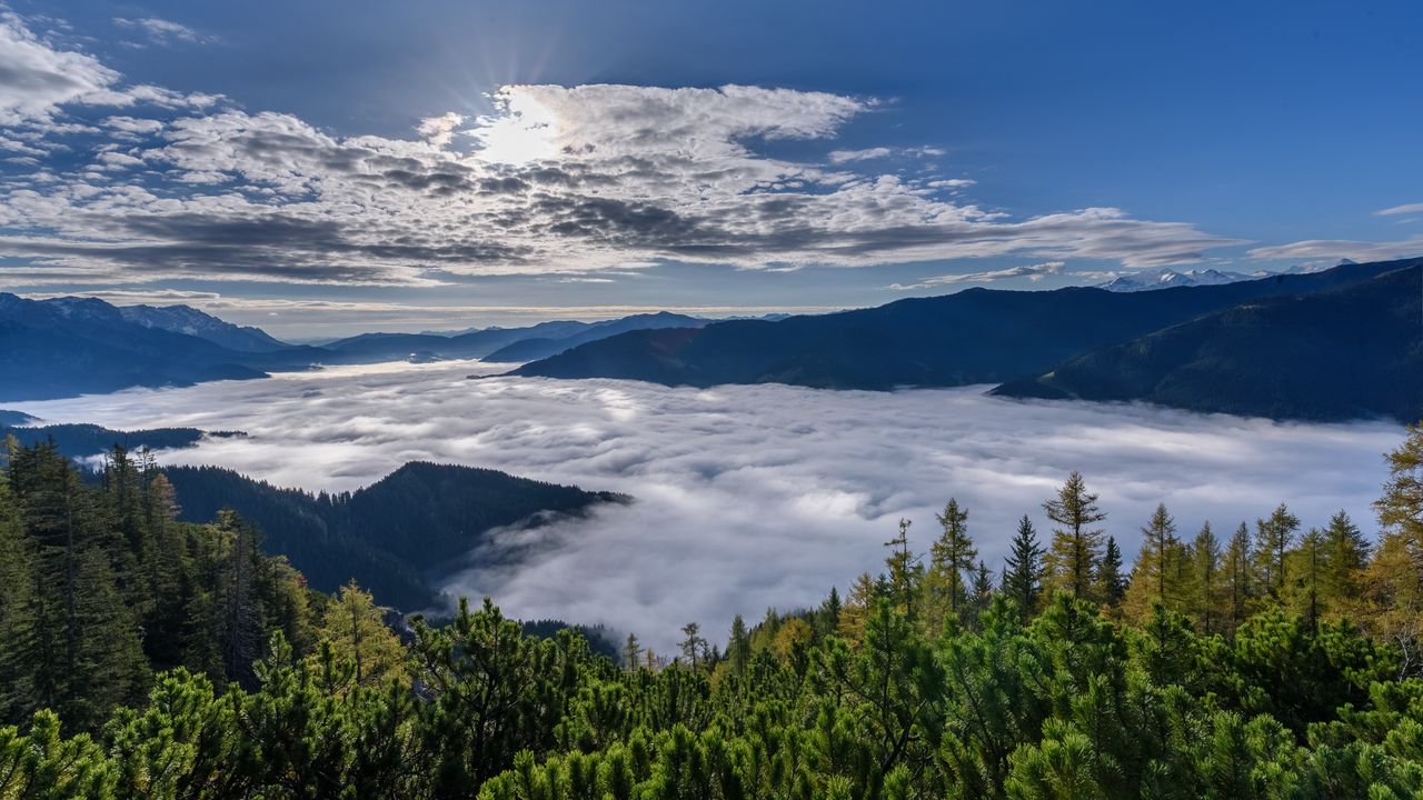 Wallpaper forest, mountains, clouds, landscape, aerial view