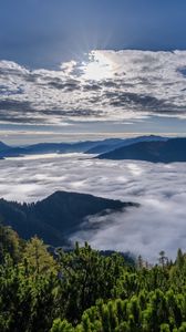 Preview wallpaper forest, mountains, clouds, landscape, aerial view